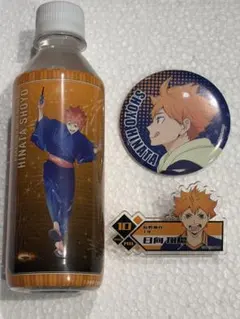 ハイキュー!! 日向翔陽 ボトルとピンバッジセット
