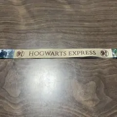 Item thumbnail for item 55f66dc1-784f-4f49-9383-2e8cb1350602