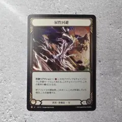 Flesh and Blood 禁技の遮音靴 FaB Flesh and Blood 禁技の遮音靴 FaB - メルカリ