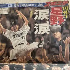 阪神タイガース優勝(2部)星野監督、岡田監督