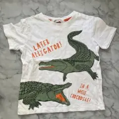 アリゲーター クロコダイル Tシャツ 104cm