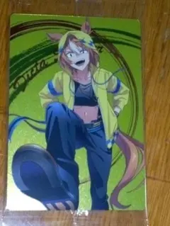 ウマ娘　シンデレラグレイ13　ディクタストライカ