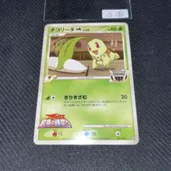 3㉛チコリータM