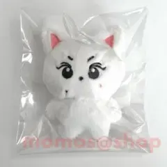 ジョンウォン JUNGCAT ぬいぐるみ エンワールド 15cm ジョンウォン ぬいぐるみ enhypen 15センチ ドール マスター