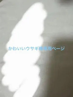 かわいいウサギ様専用ページ