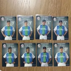 Item thumbnail for item 0cdf1d29-0441-4720-ae2e-e29573164084