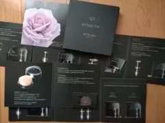 クレドポーボーテ　シナクティフ　2日分サンプルセット