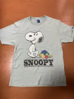 新品同様 snoopy FRUIT OF THE LOOM Tシャツ スヌーピーのサムネイル