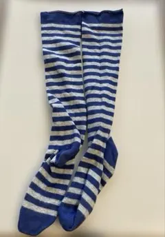 ボーダーソックス　レディース