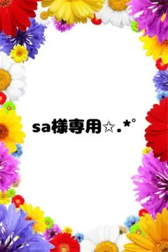 sa様専用✩.*˚