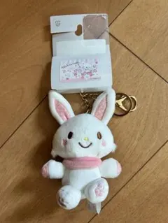 サンリオ　ウィッシュミーメル