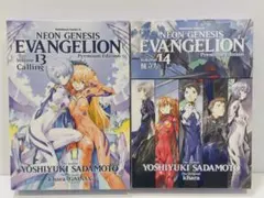 新世紀エヴァンゲリオン 13.14巻(プレミアム限定版)