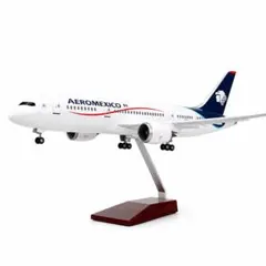 アロハ航空　Bー737 700 1/130 スカイマーク社製 アロハ航空 ボーイング Bー737 700 1/130 スカイマーク社製 - メルカリ