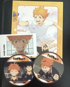 ハイキュー!! 日向翔陽　水遊び　色紙　パシャこれ　コースターコレクション　4点