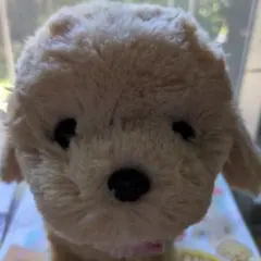イワヤ レトリーバーソラちゃん 動くぬいぐるみ