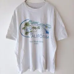 アバクロンビーアンドフィッチ クルーネック 半袖 カリフォルニア柄 S 白 綿
