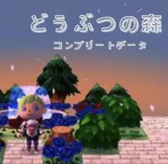 3DS とびだせどうぶつの森　やり込み 12時間発送