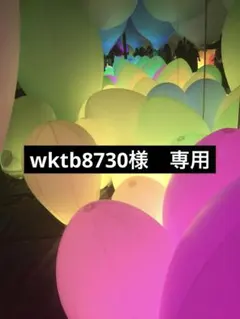 wktb8730様　専用