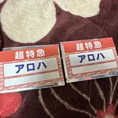 ダンエビ祭 名札ステッカー 超特急 アロハ 2枚セット