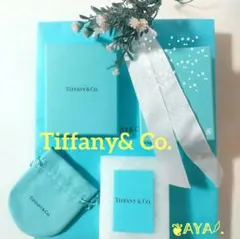 ♥Tiffany空箱 巾着袋 ショップ袋(リボン付き) カード ティファニー♥