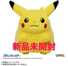 ポケモン30周年記念おかえり!ピカチュウ1/1