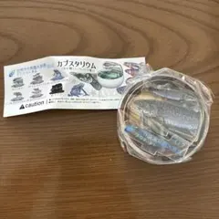 アクアトト ぎふ カプスタリウム シークレット イトウ ガチャ