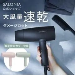 SALONIA スピードイオンヘアドライヤー グレー