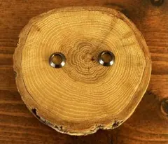 Item thumbnail for item 20d2f05e-0244-4537-8211-f03e761c5507