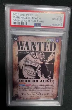 ヅ*メ様 マーシャル・D・ティーチ SR SP OP09-093 【PSA10】