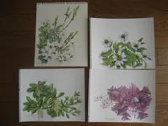 タップミント様 リクエスト 2点 まとめ商品