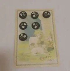 花の刺繍入り くるみボタン 6個セット　アンティーク　蚤の市