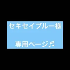 セキセイブルー様⚫️専用ページです
