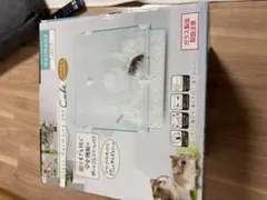 Item thumbnail for item 277bc102-8740-4d58-a912-5d3223b5325a