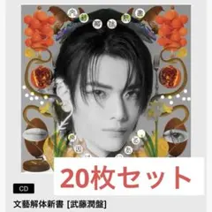 原因は自分にある。 げんじぶ CD ソロ盤 武藤潤盤 文藝解体新書