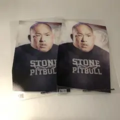 Item thumbnail for item 09af0a38-ab3a-465d-8687-85700fbc0f0a