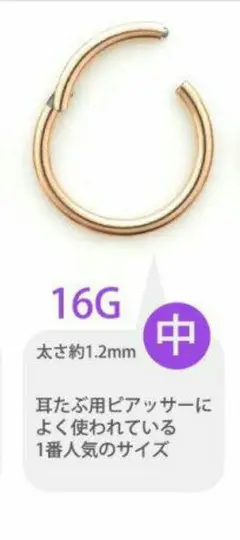 フープピアス セグメントリング