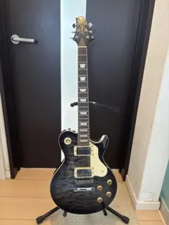 2026年最新】samick レスポールの人気アイテム - メルカリ