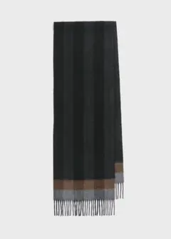 Paul Smith ビッグストライプマフラー