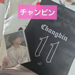 straykids dominate vr ランダム巾着ポーチ チャンビン