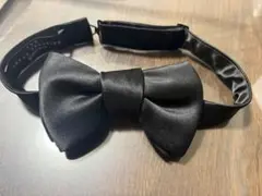 Item thumbnail for item cbd49924-e78b-4e2b-b27c-12cd6d8ca111