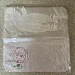 タオルハンカチ★いないいないばあっ！★ミッキーマウス★SHINKANSEN