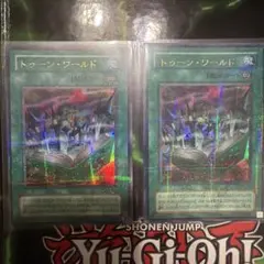 遊戯王　トゥーンワールド パラレルレア2枚セット