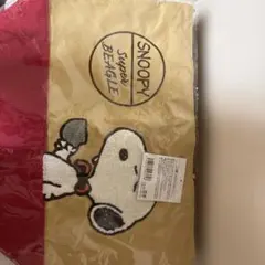 Item thumbnail for item 7fc49078-73bd-4efe-aec8-f017f48b9f61