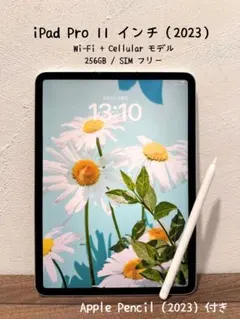 iPad Pro 11インチ 第4世代 256GB & アップルペンシル第2世代