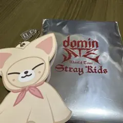 Stray Kids World Tour キーホルダー イエニ