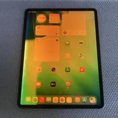 476 外観美品☆電池ほぼ新品☆iPadPro3第3世代64GB12.9インチ☆