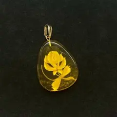 813遺品整理品　ペンダントトップ　鼈甲？　ベッコウ？　ゴールド？　メッキ？