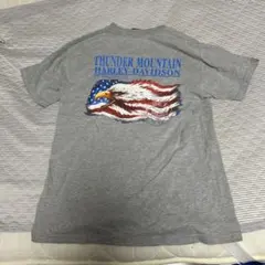 Harley-Davidson イーグルデザイン Tシャツ Mサイズ グレー