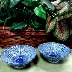 未使用品　波佐見焼　福峰窯　染付　内外十草　ご飯茶碗　2客セットのサムネイル