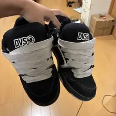 DVS シューレス変えてます　箱もあるよんのサムネイル